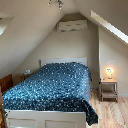 Beloya Apartment Volgelsheim